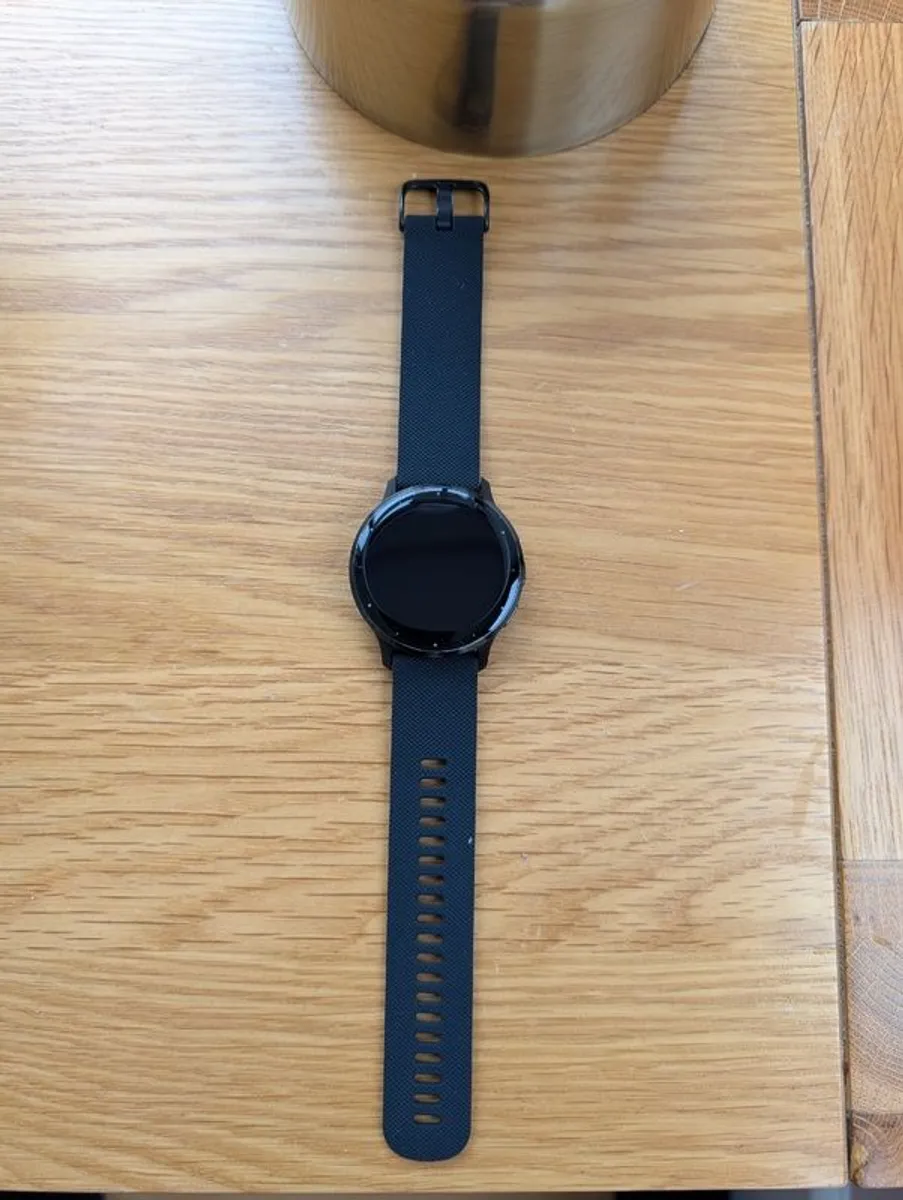 Garmin Venu 3 (45mm) - Image 4