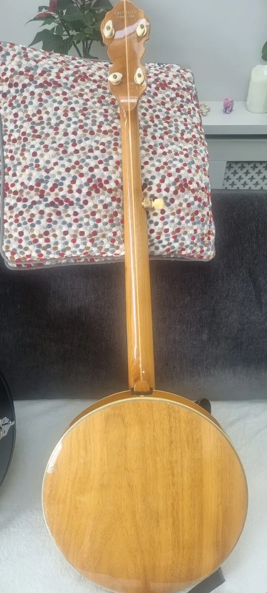 Banjo 5 string Fender - Image 2