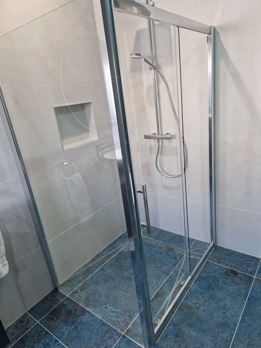 Shower Door and Screens - Image 2