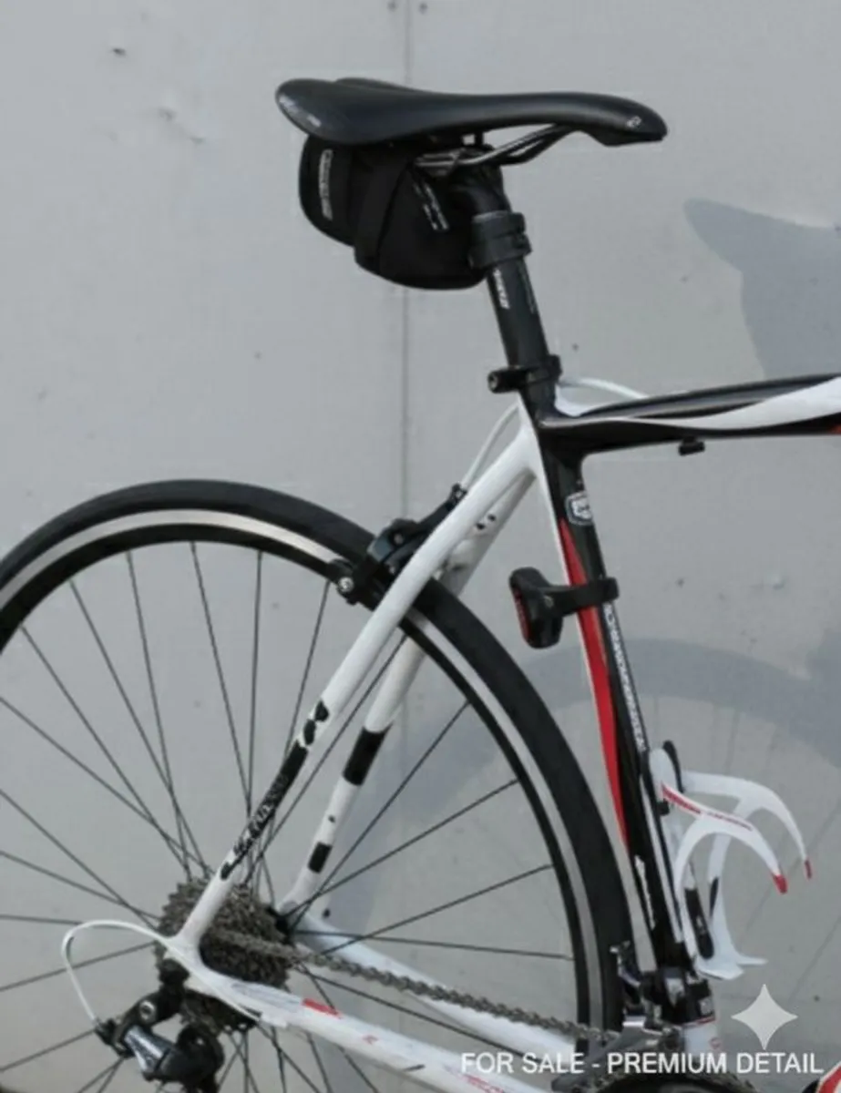 fondriest fz4 - Image 4