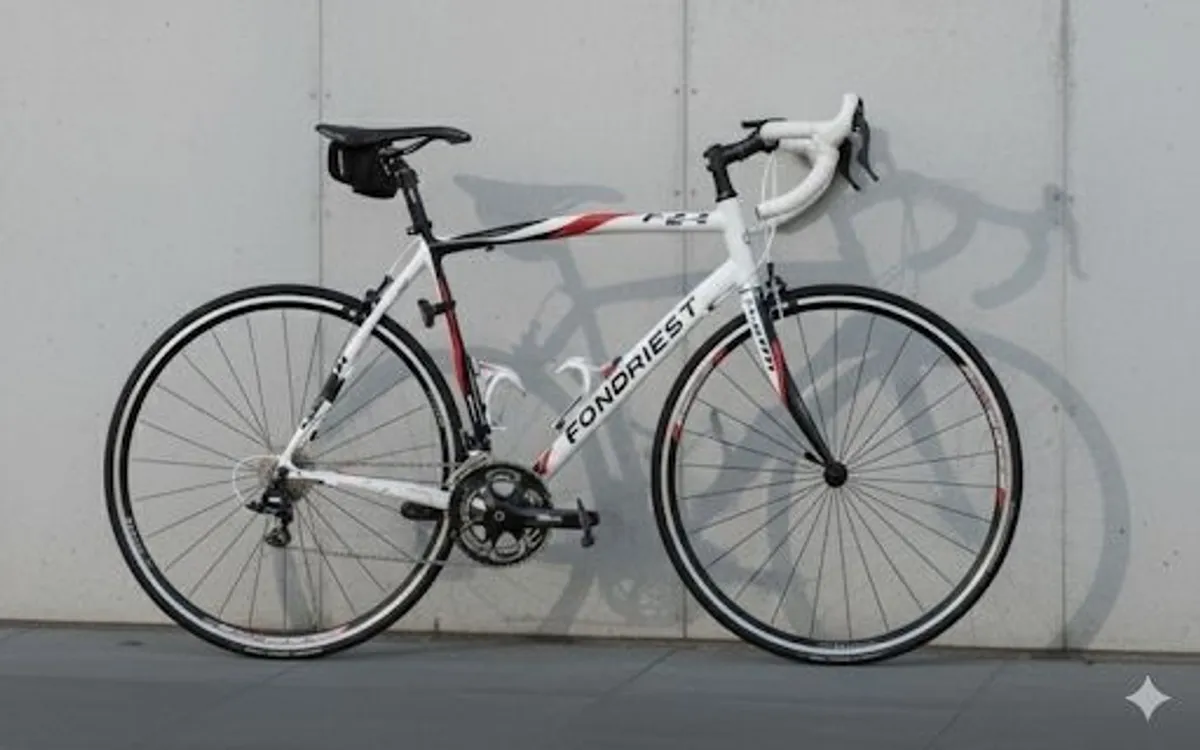 fondriest fz4 - Image 2