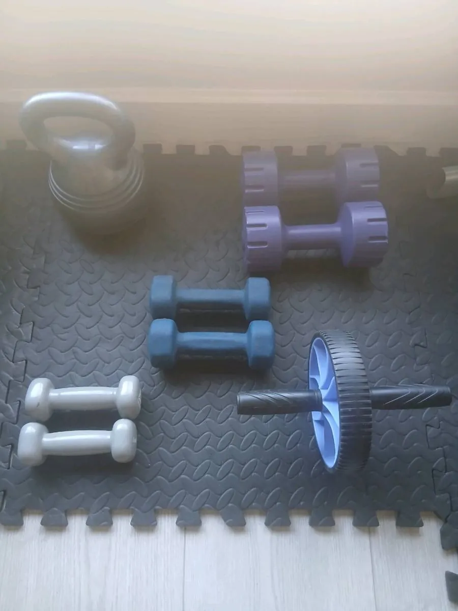 Vinyl Weights, Bench, Rack and Workout Accessories - Image 4