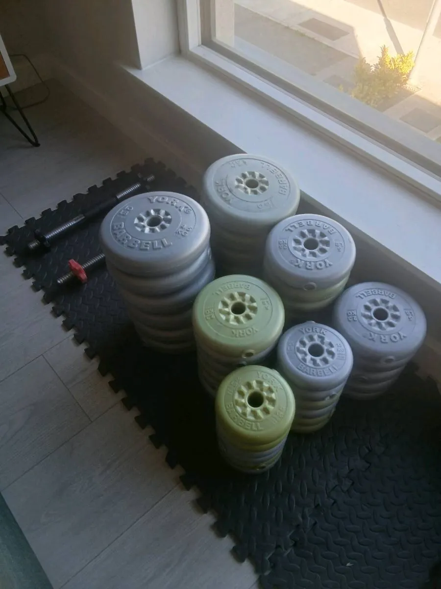 Vinyl Weights, Bench, Rack and Workout Accessories - Image 2