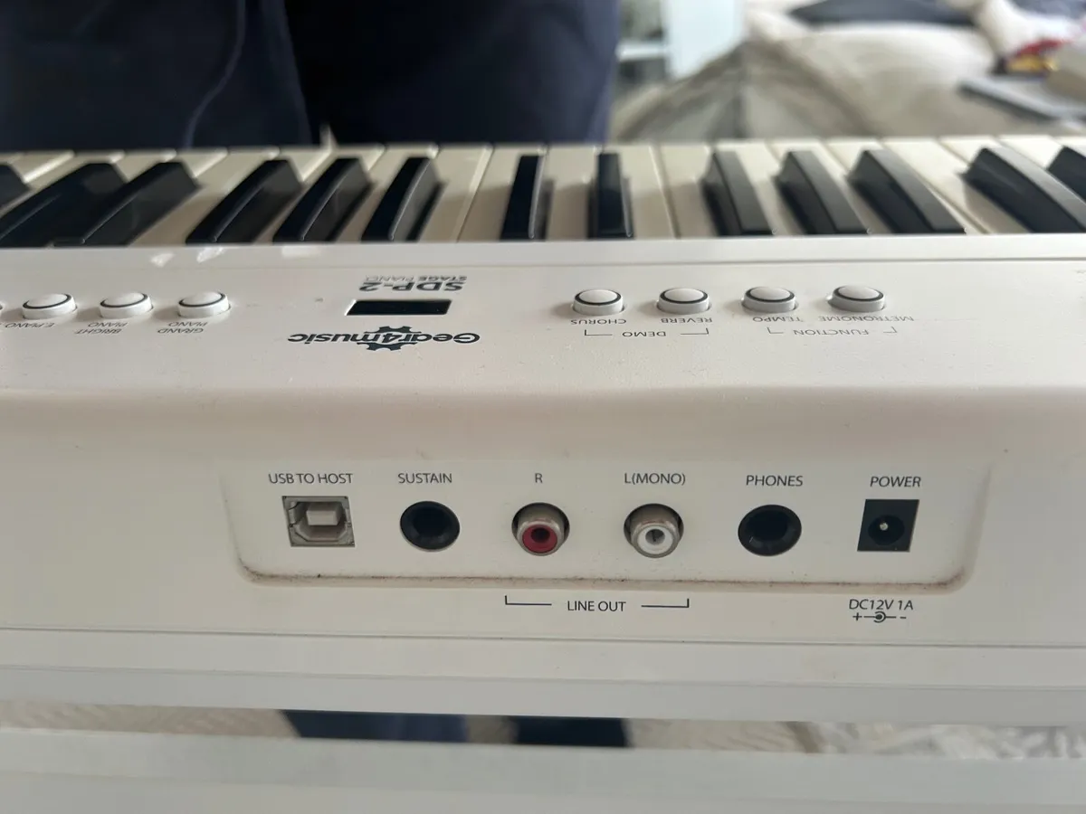 SDP-2 Gear4music electric stage piano - Image 2