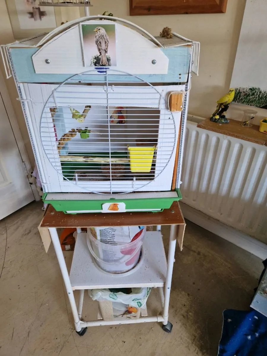 Bird  cage and food. - Image 3