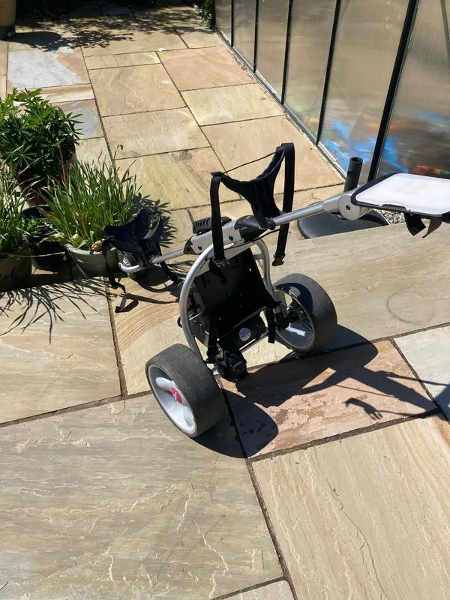 Electric Golf Trolley - Image 3