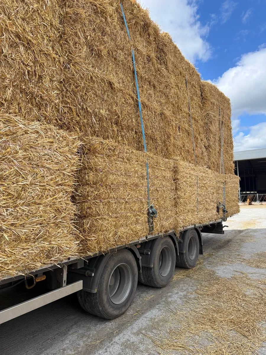 8x4x3 straw delivered handy loads - Image 2