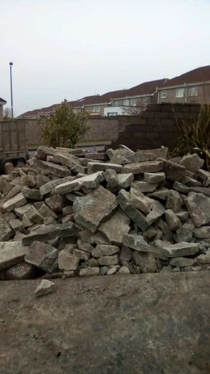 Diggers with drivers all work carried out - Image 4