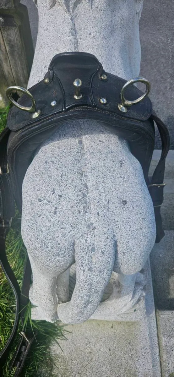 Leather harness - Image 3