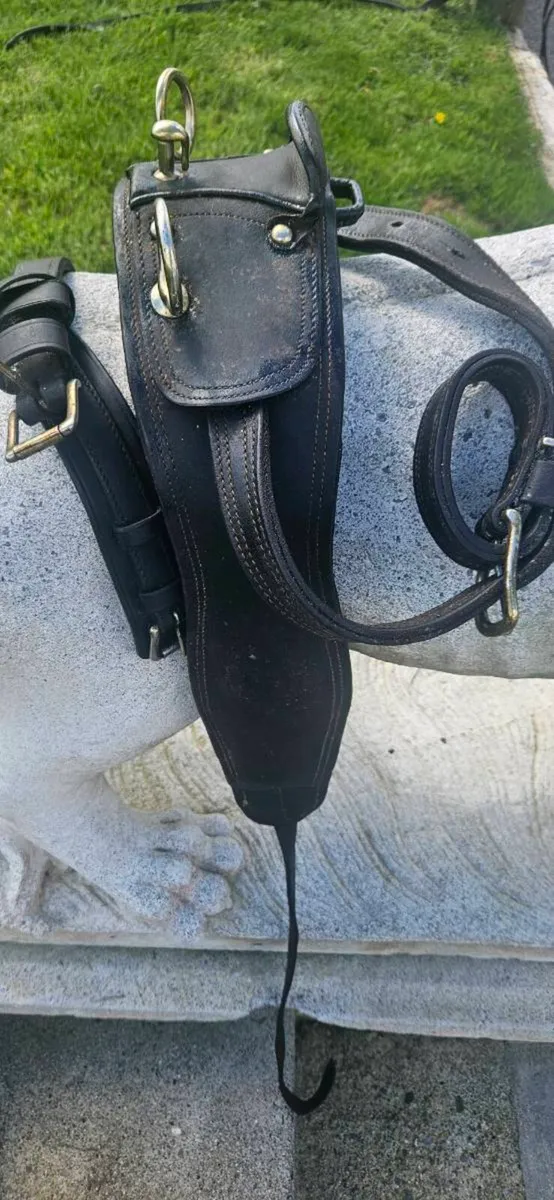 Leather harness - Image 4