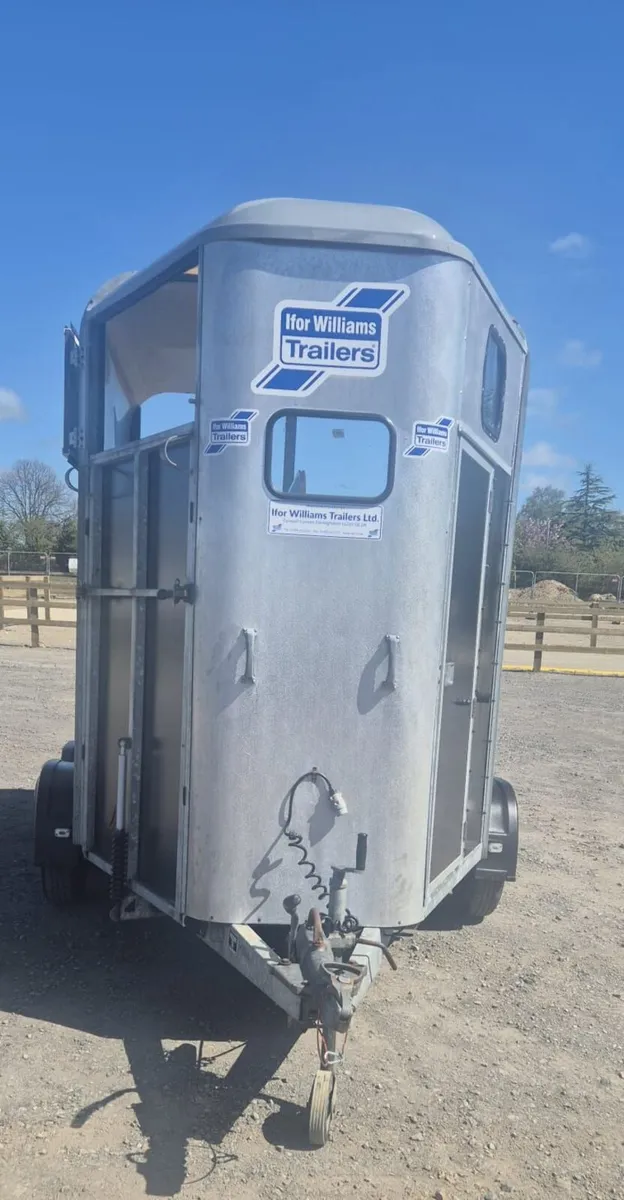 Ifor Williams 505 classic Horsebox - Image 2