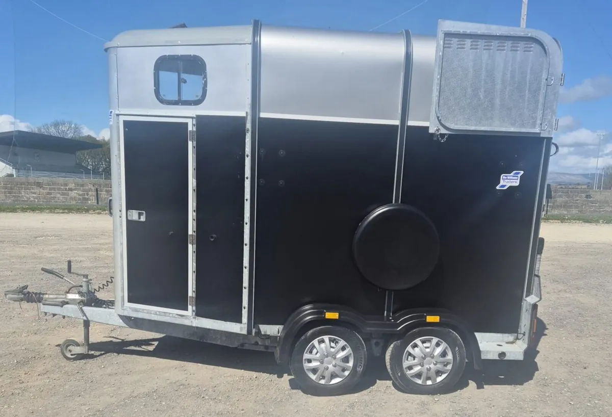 Ifor Williams 505 classic Horsebox - Image 4