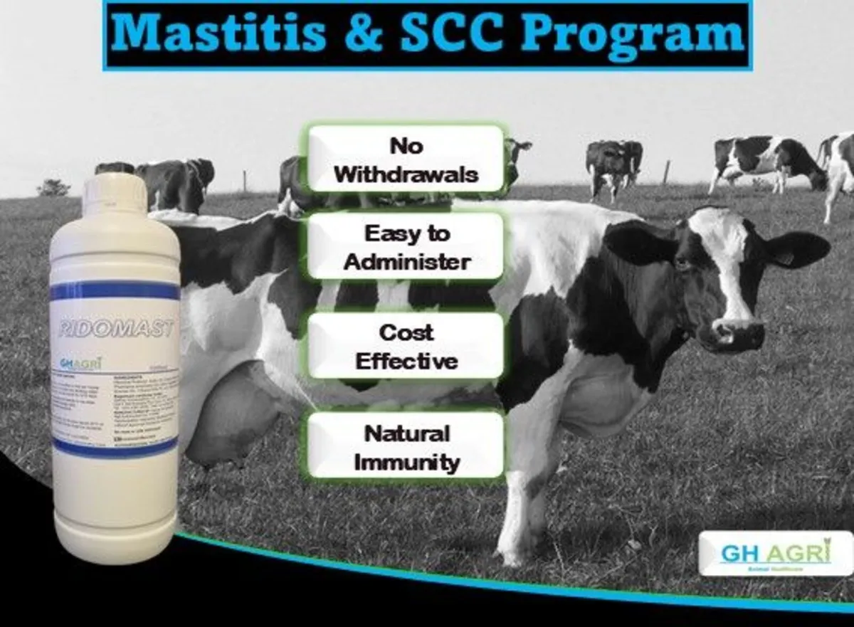 Herd SCC & Mastitis Program