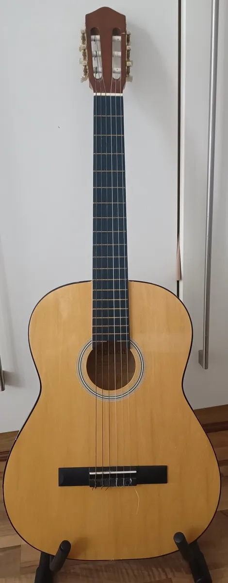 Elevation Classical Acoustic Guitar - Image 1