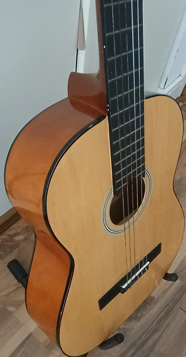Elevation Classical Acoustic Guitar - Image 2