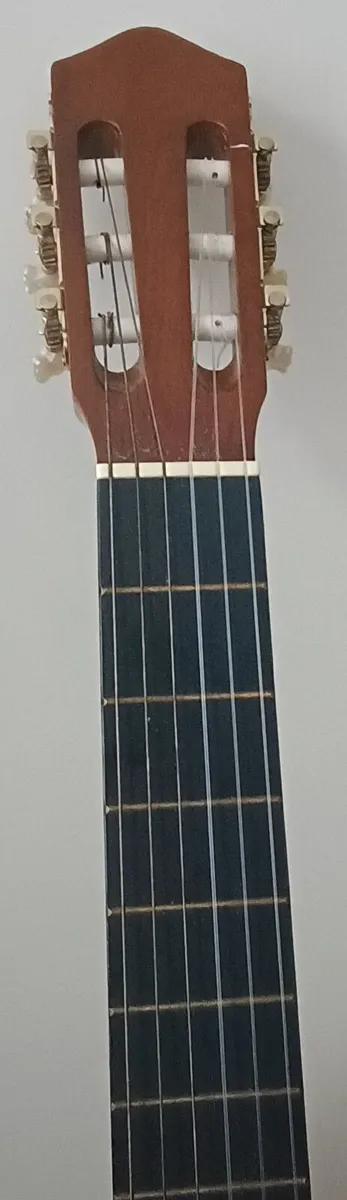 Elevation Classical Acoustic Guitar - Image 3