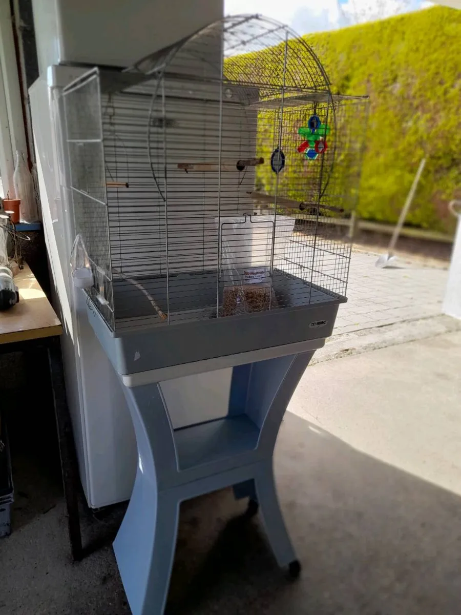 Bird cage - Image 1