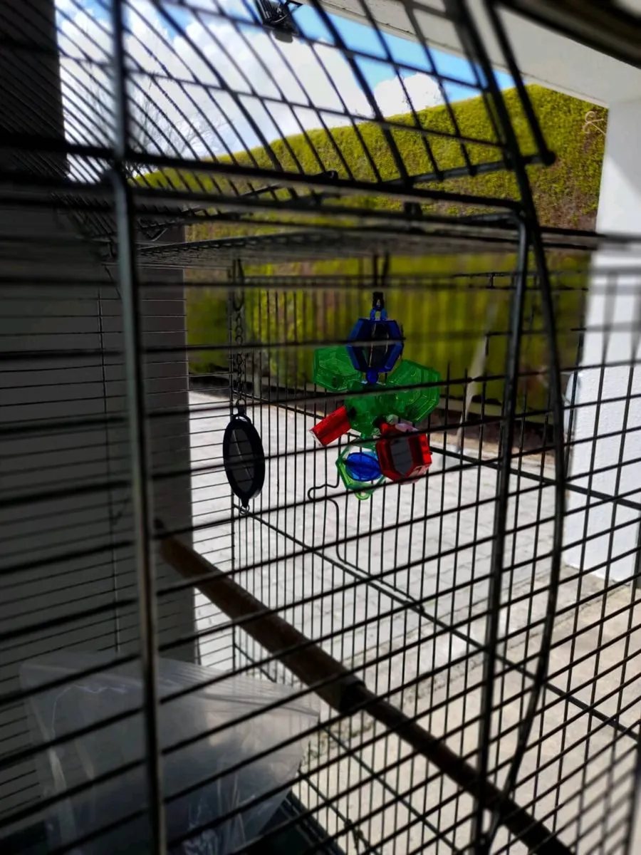 Bird cage - Image 2