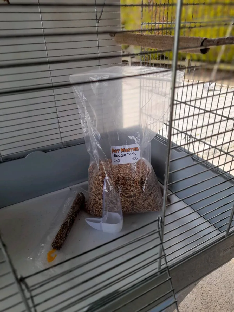Bird cage - Image 3