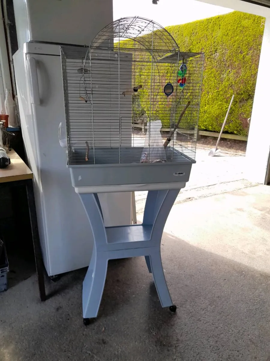 Bird cage - Image 4
