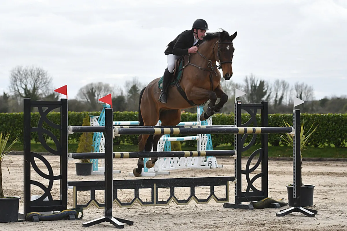 Grand Prix Schoolmaster - Image 1