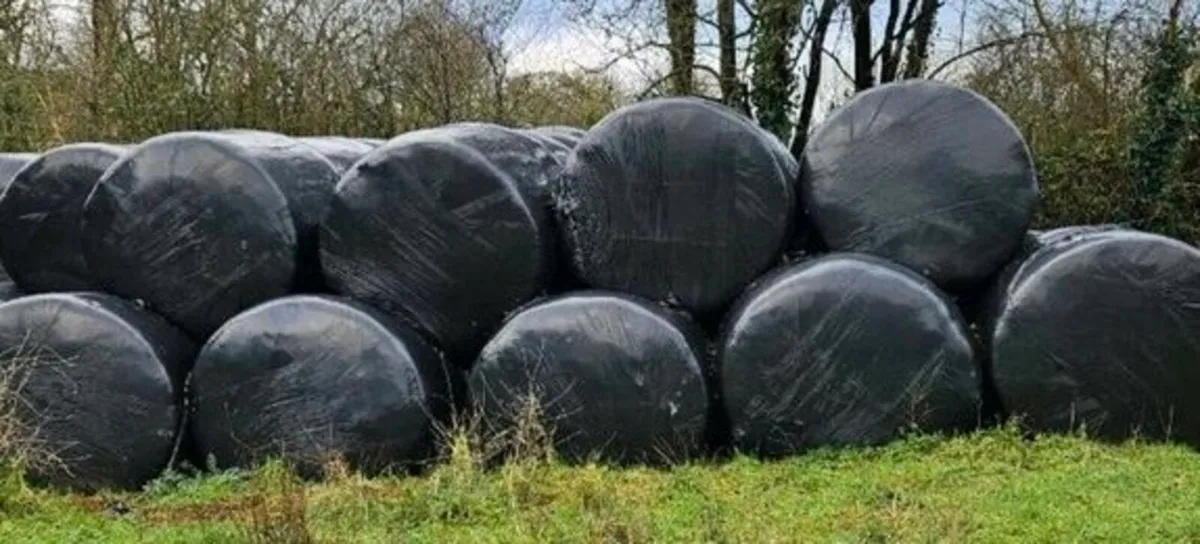 100 Bales of Silage