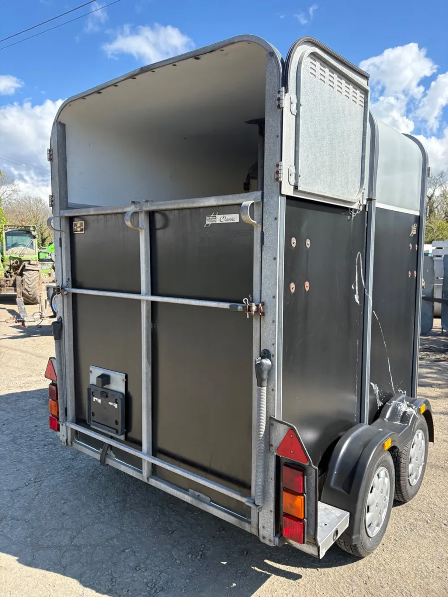 Ifor Williams 505 classic horsebox - Image 2