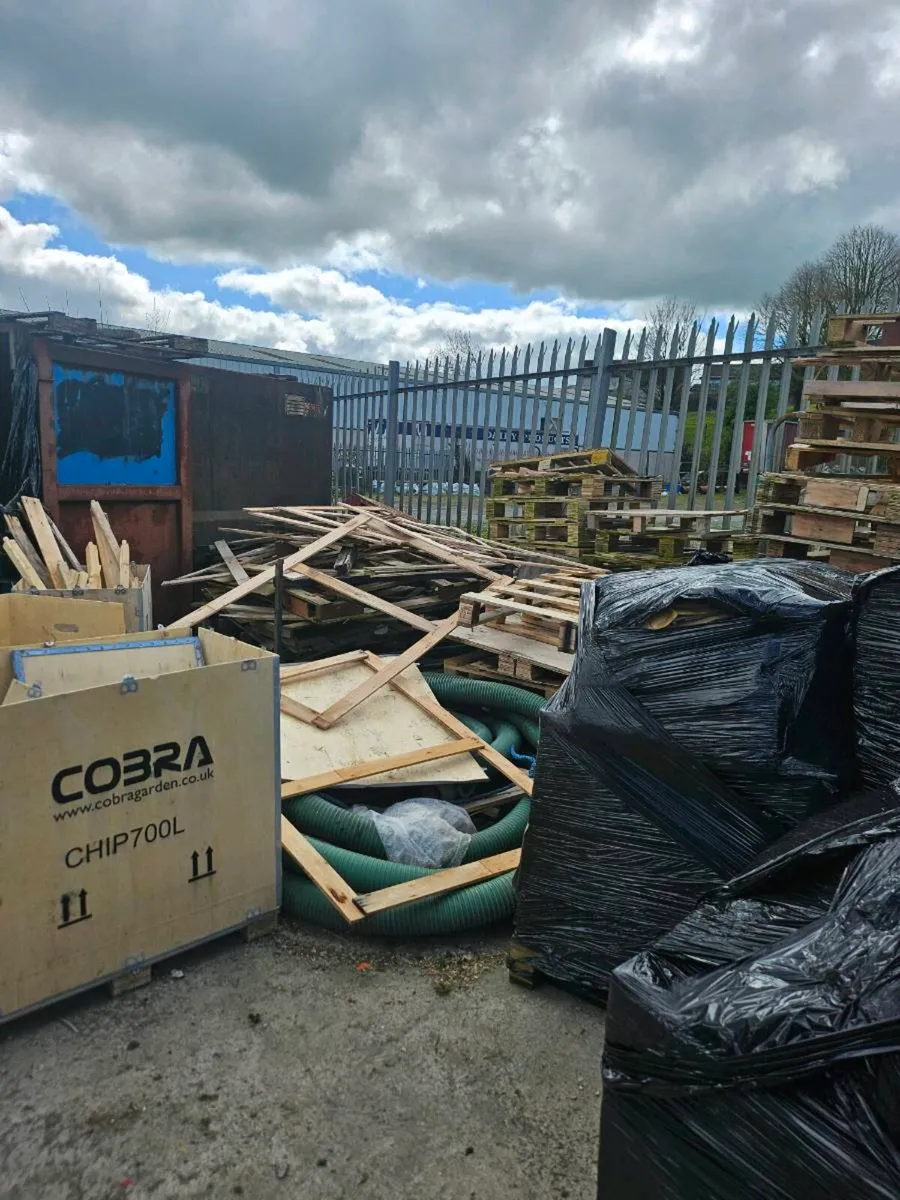 Free Pallets for removal - Image 1