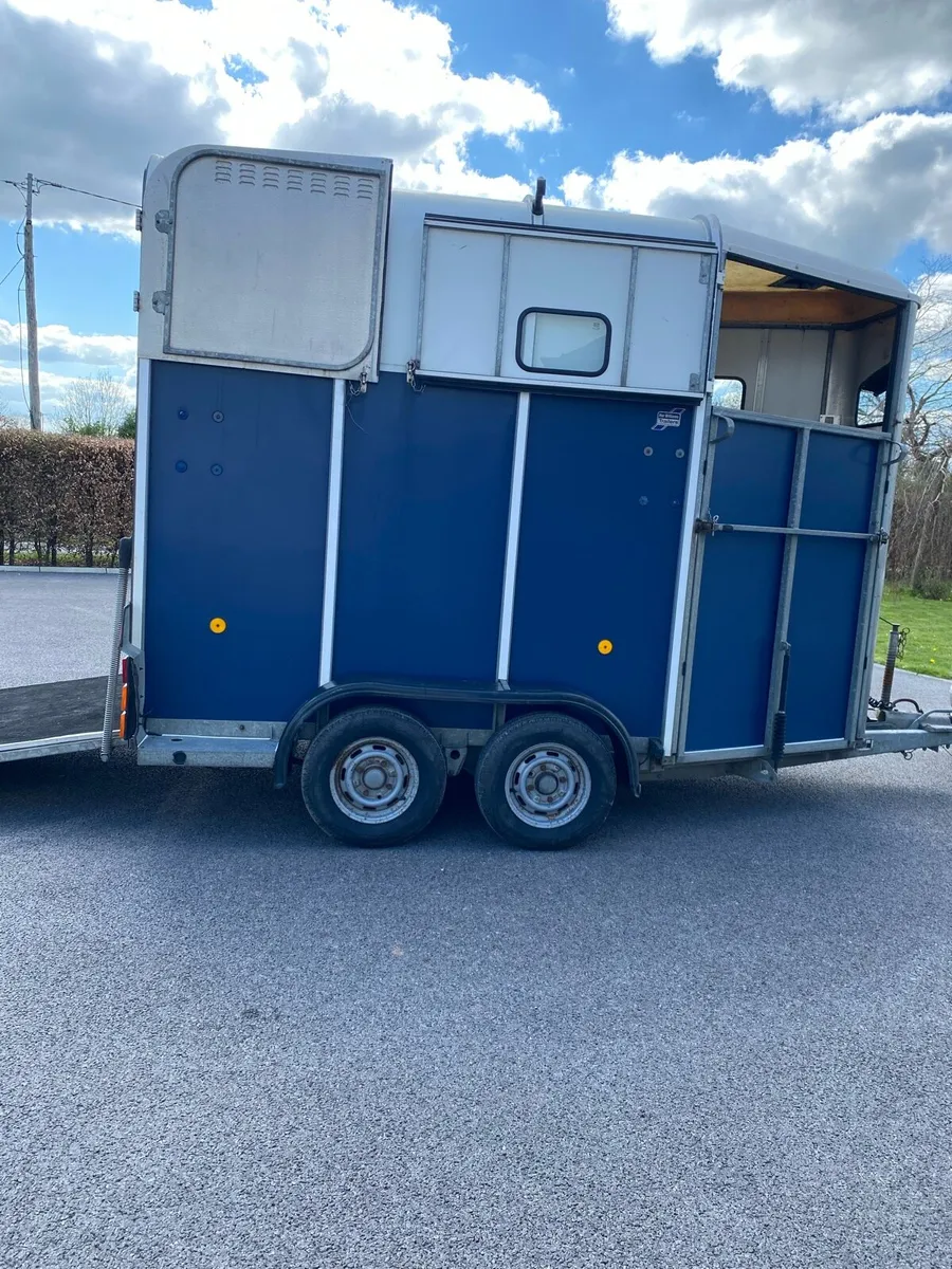 Ifor Williams 510 horse box - Image 2