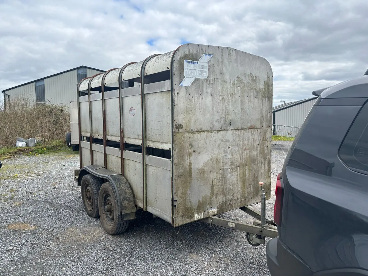 10x5 Ivor Williams livestock trailer - Image 1