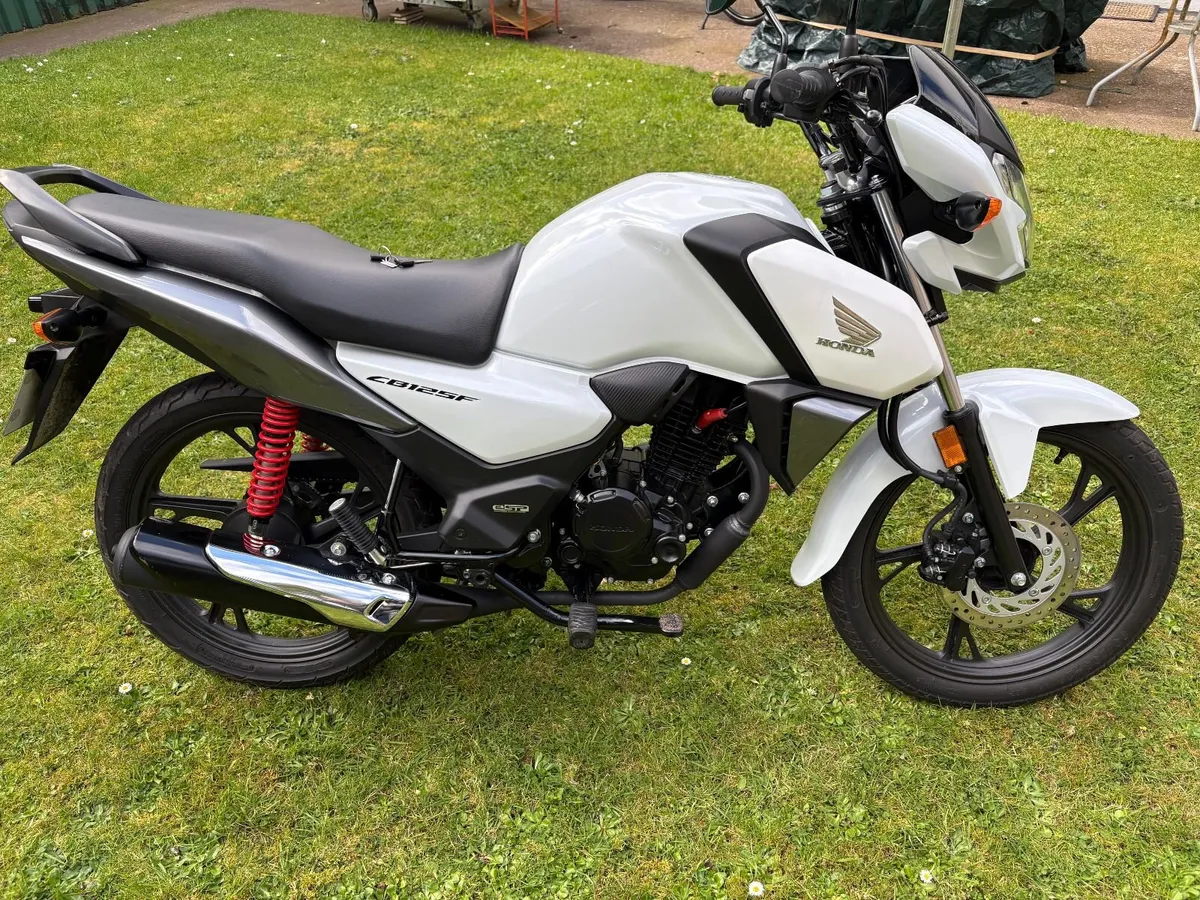 Honda CB125F   ( 2024) - Image 2