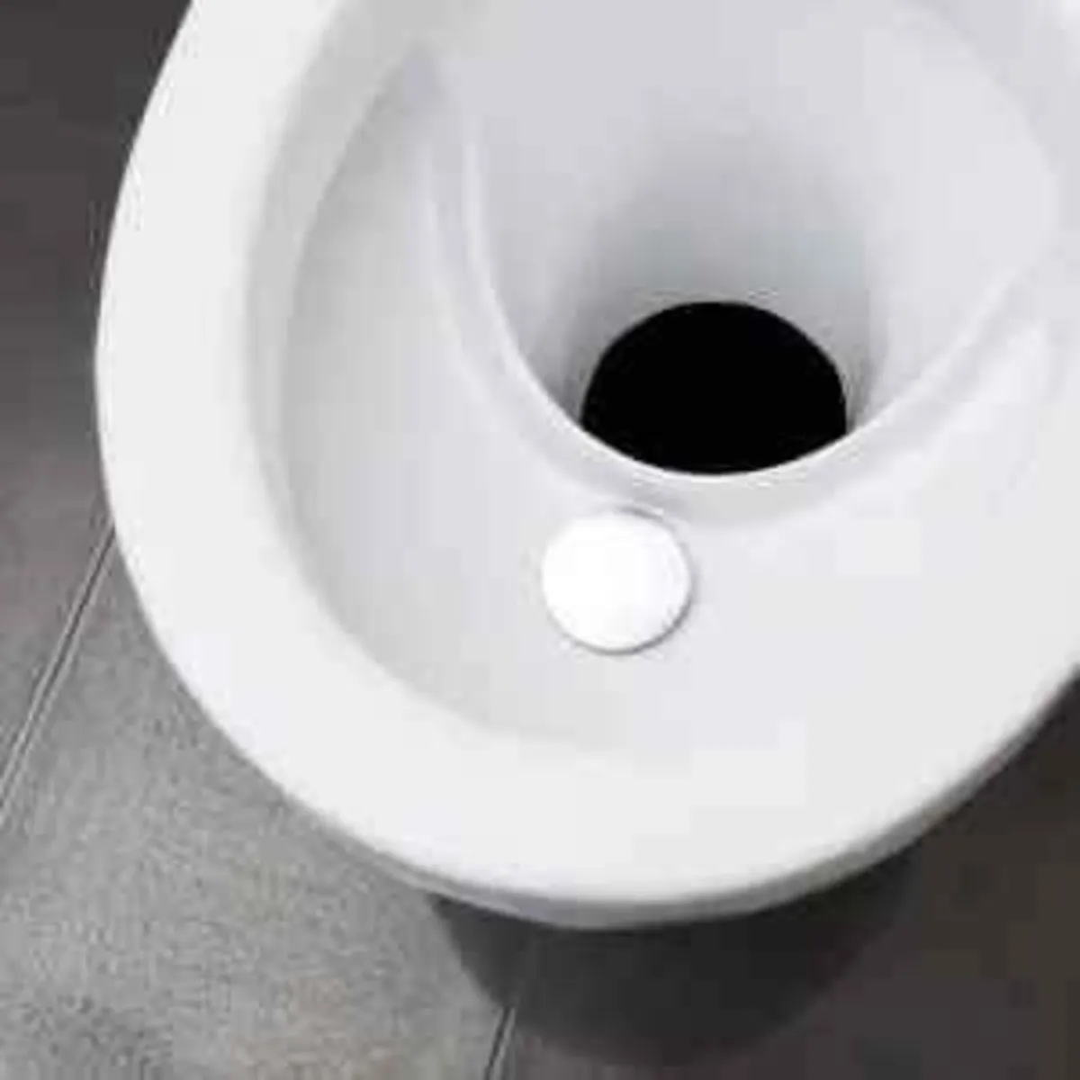 Composting Toilet - Image 2