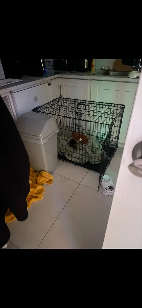 Dog crate & pen - Image 2