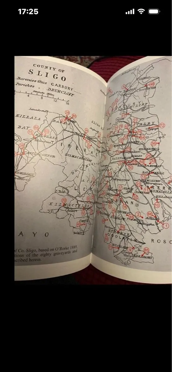 ‘Had Me Made’- Study of Sligo Grave Memorials - Image 4