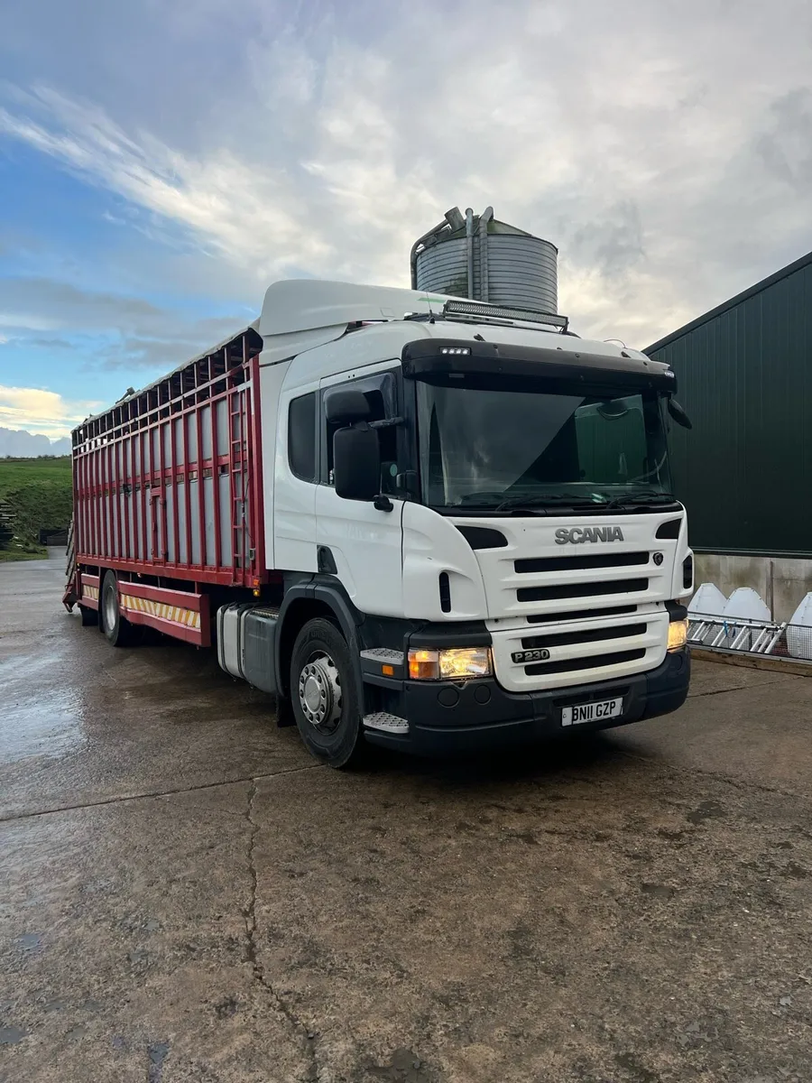 Scania P230 - Image 1