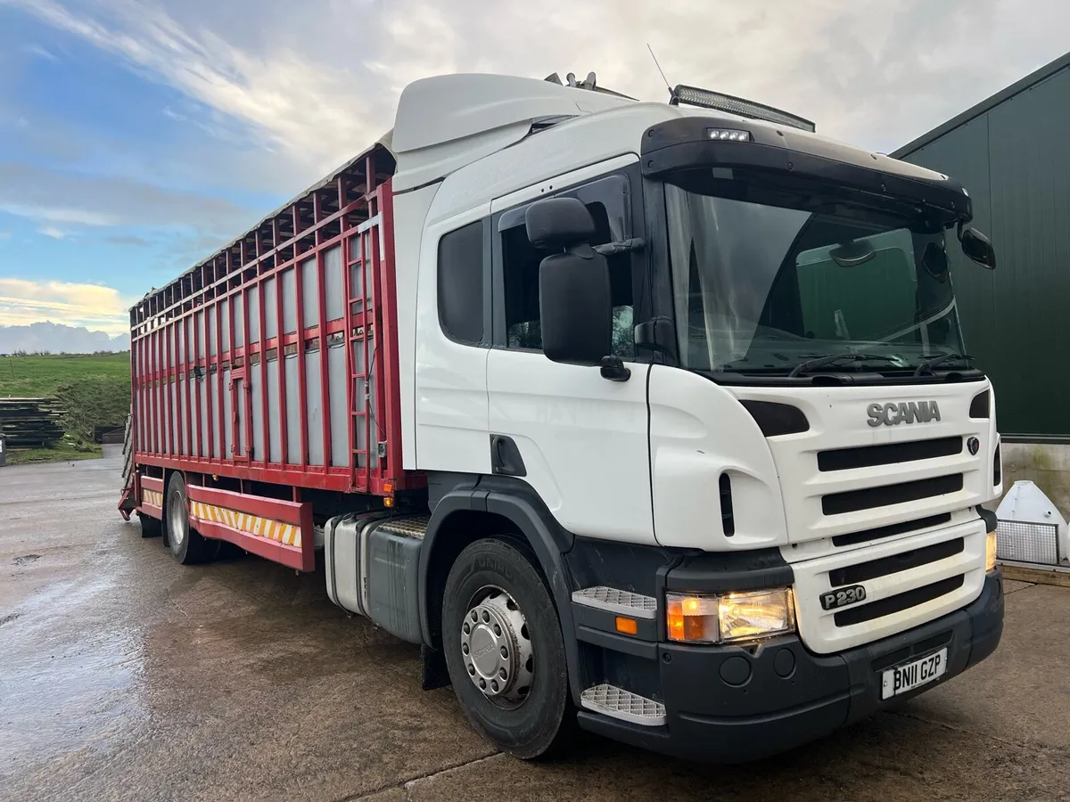 Scania P230 - Image 2
