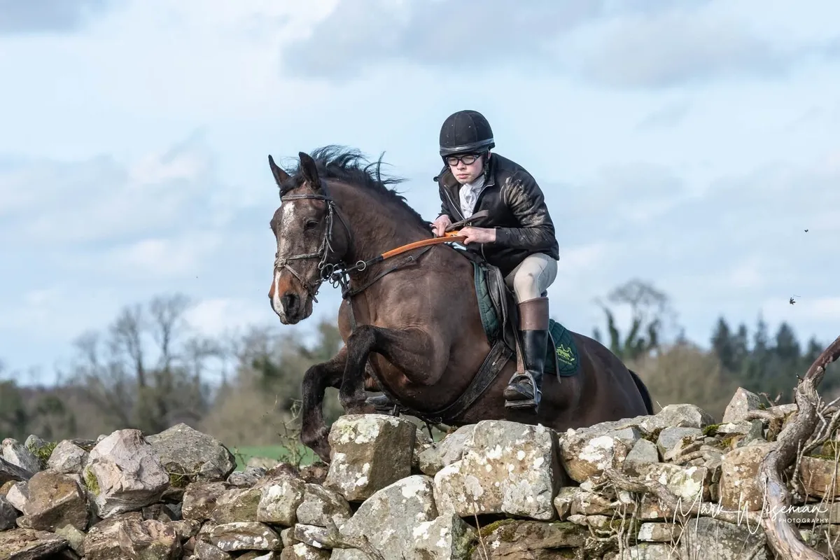 14.2 Sports Cob - Image 1