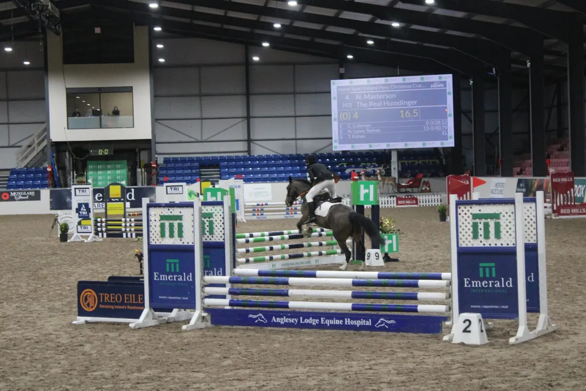 14.2 Sports Cob - Image 2