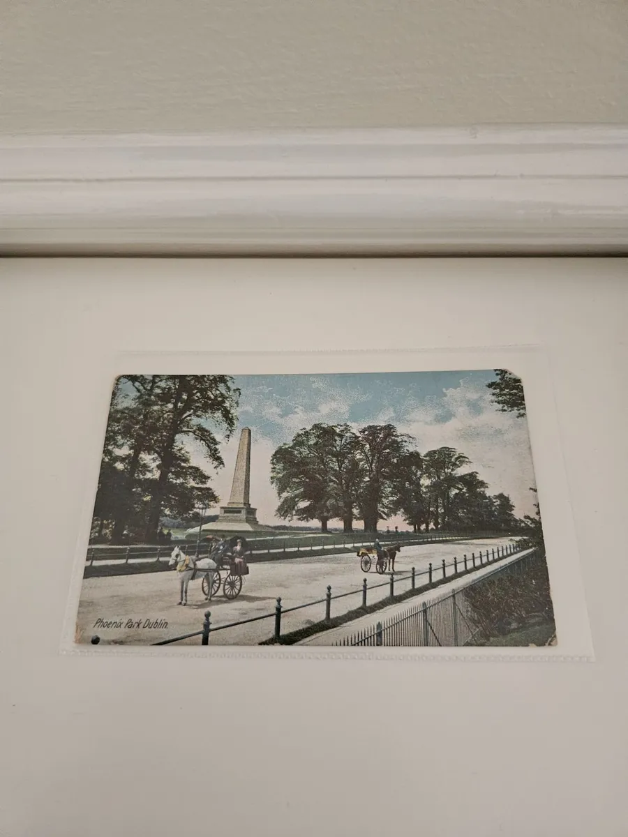 Vintage Post Card Phoenix Park Dublin - Image 1