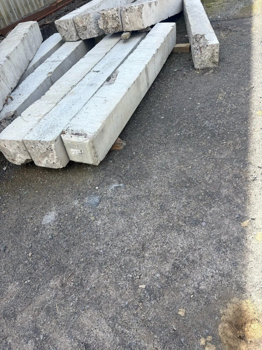 8ft concrete strainers - Image 2