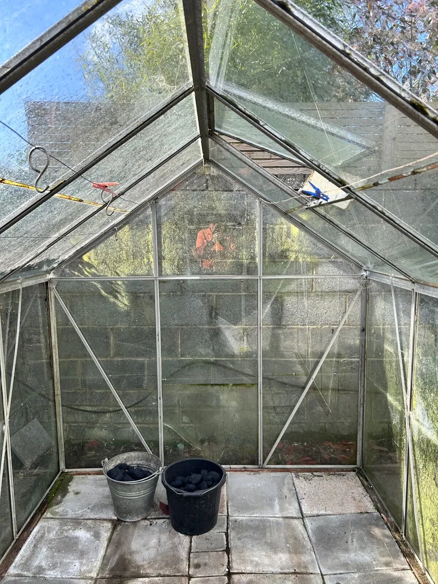 Glass greenhouse - Image 2