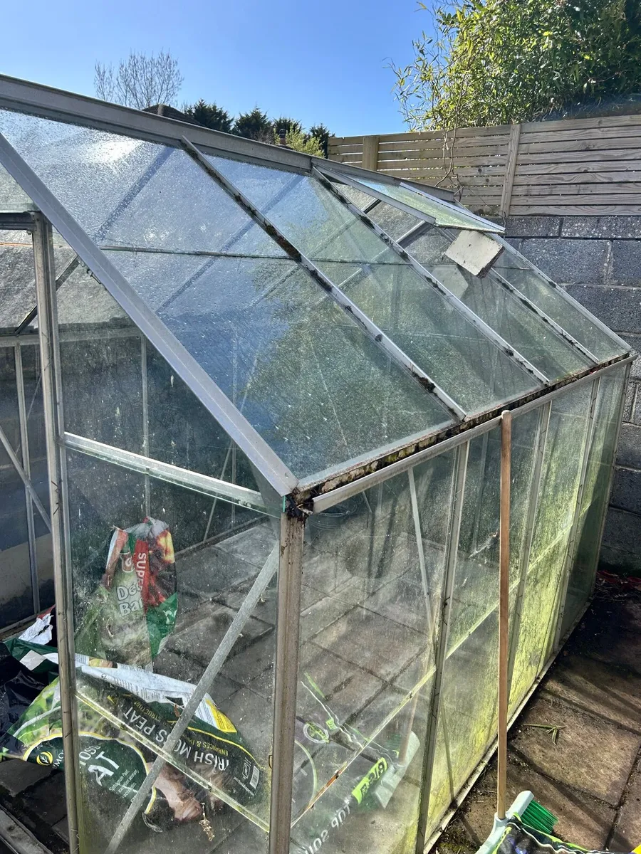 Glass greenhouse - Image 3