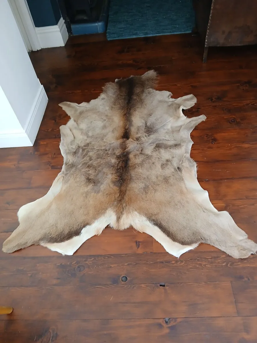 deer skin rug - Image 1