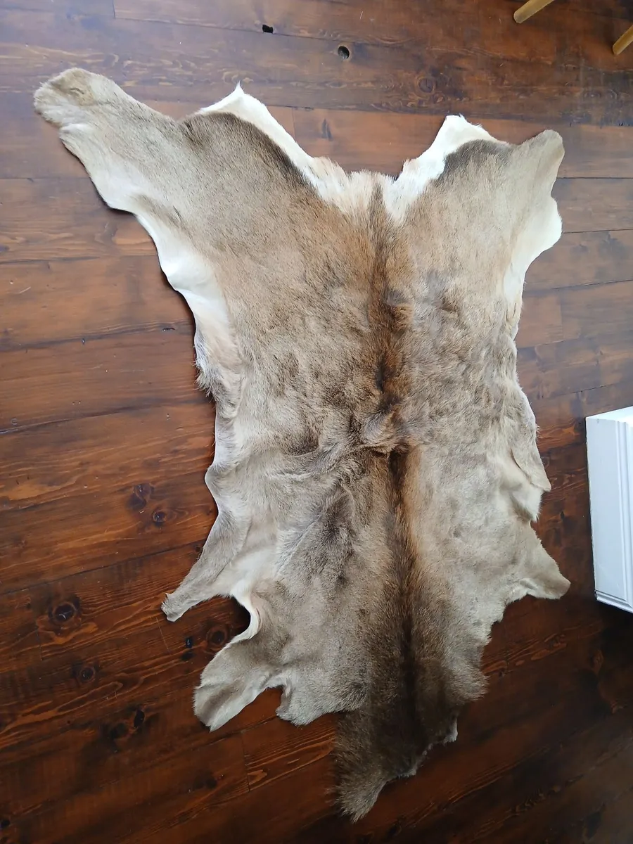 deer skin rug - Image 2
