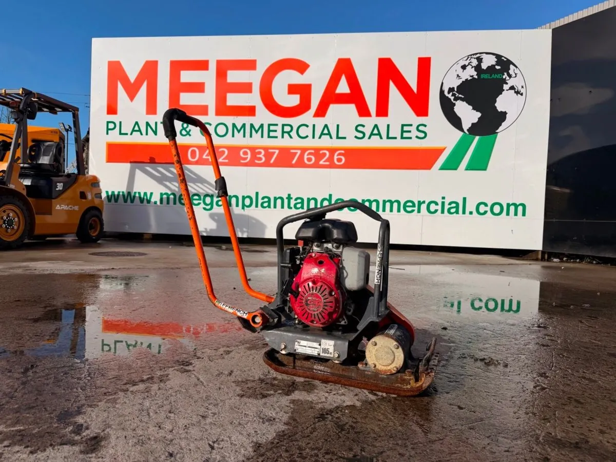 Belle Wacker - Image 1