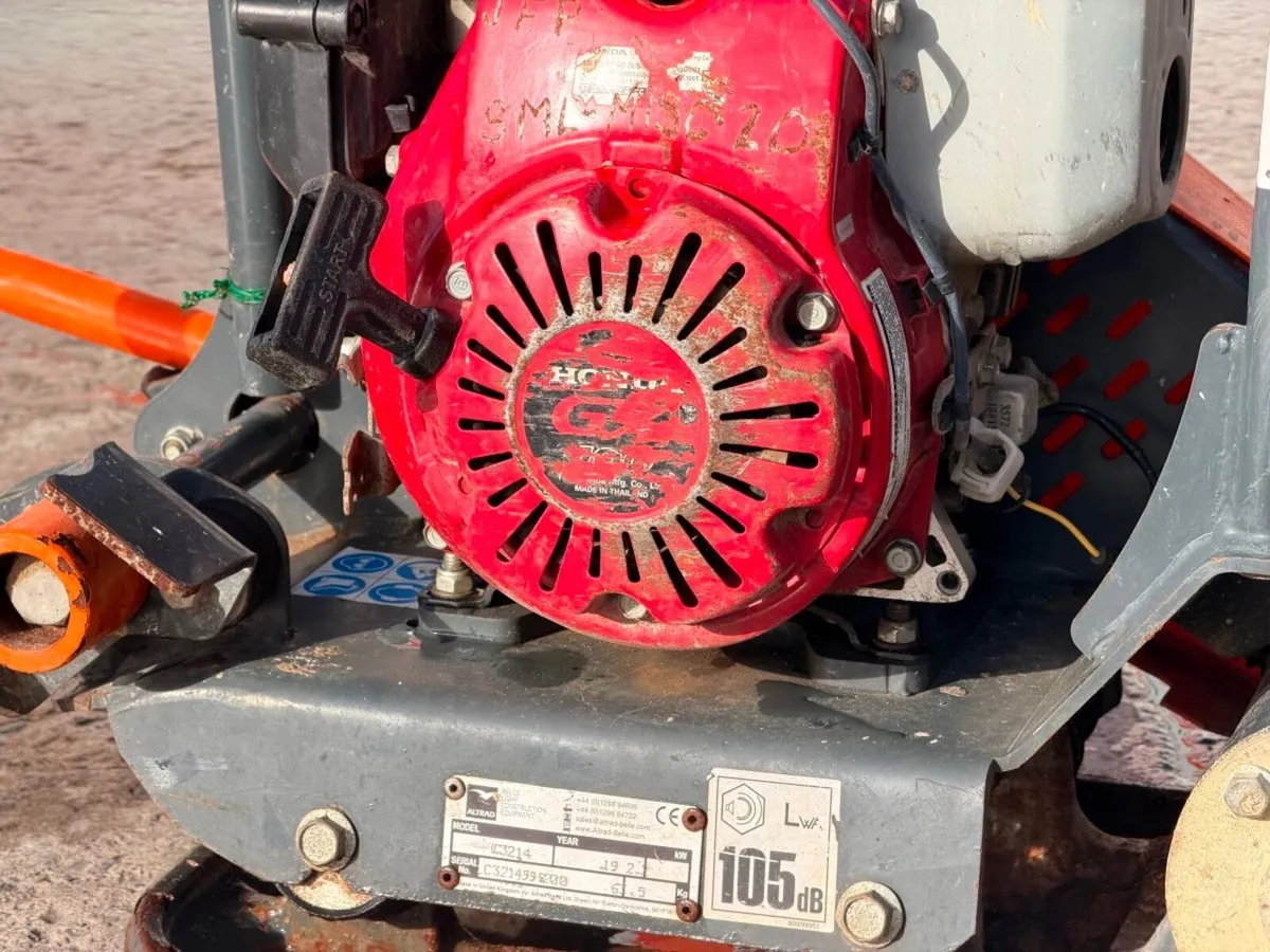 Belle Wacker - Image 4