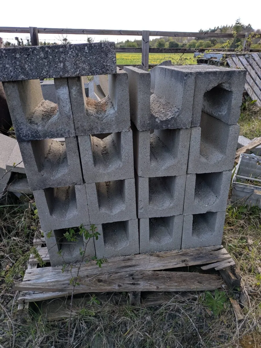 Bricks and blocks - Image 1