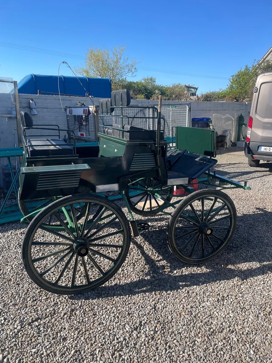 Wagonette - Image 3