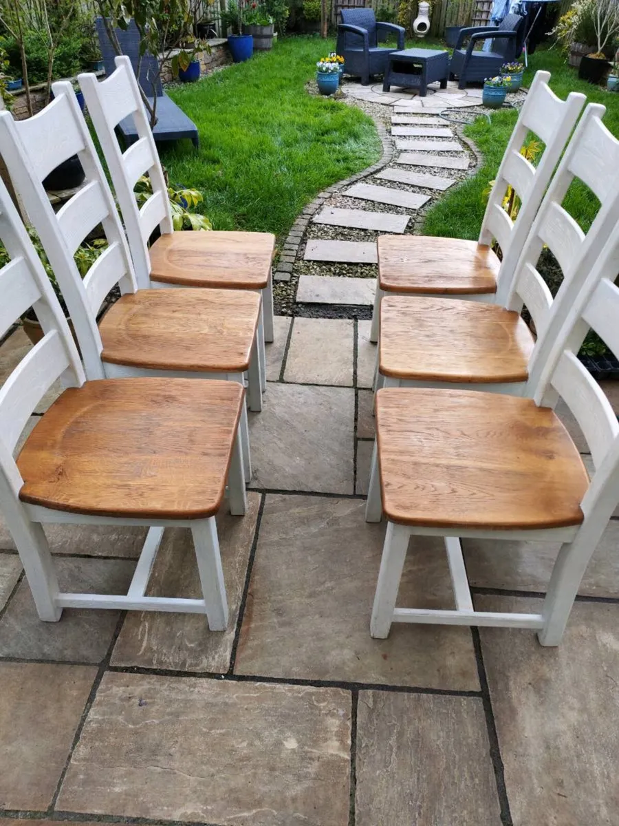 6 danube oak chairs - Image 1