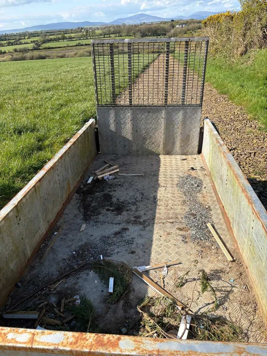 Iforwilliams 8x4 plant trailer - Image 4